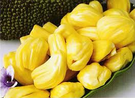 jack-fruit