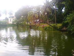pond