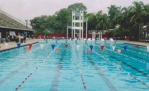swimpol