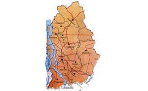 tangail