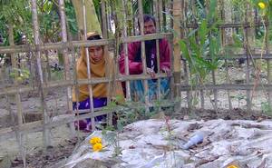 Kurigram Falani ফেলানি কবর