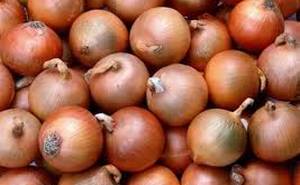 Onion পেঁয়াজ piaj পিয়াজ