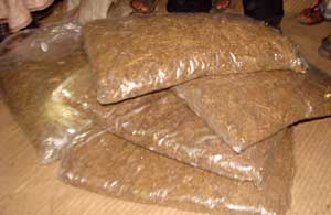 gaja গাঁজা