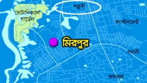pollobi পল্লবী