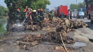 Jute Fire পাট আগুন