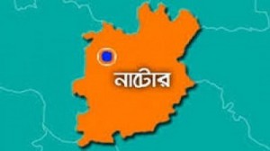 Nator নাটোর