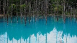 Blue pond