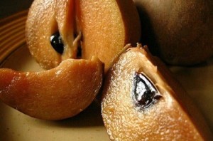 Sofeda সফেদা