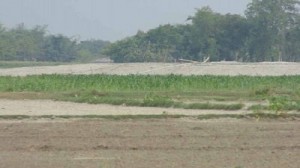 Gidar River গিদার নদী