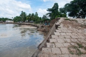 Jamuna যমুনা
