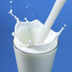 pouring milk in a glass isolated