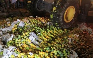 Formalin Mango ফরমালিন আম