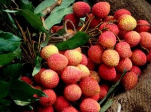 Lichi লিচু