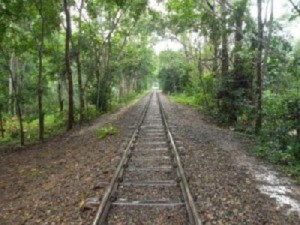 Rail Line রেল লাইন