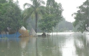 Nilphamari নীলফামারী